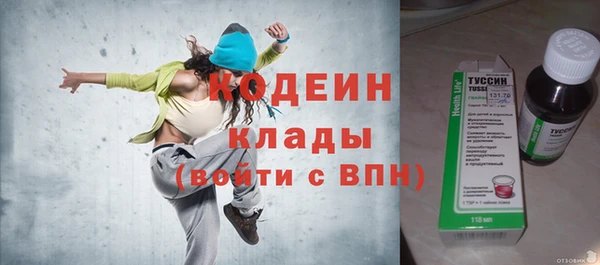 дурь Ельня