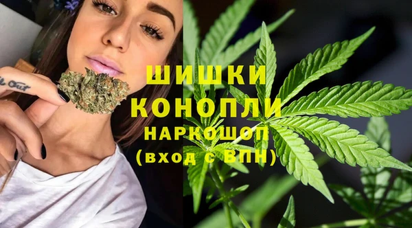 СК Елизово