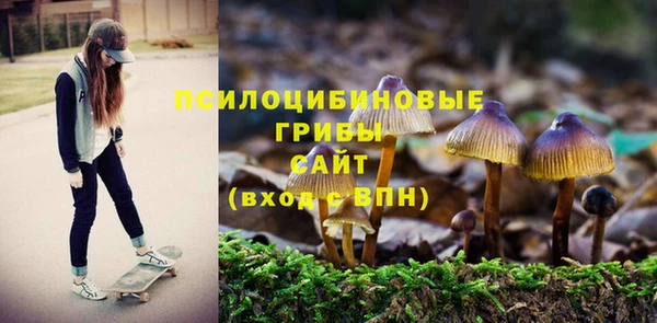 СК Елизово