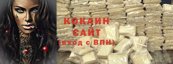 СК Елизово