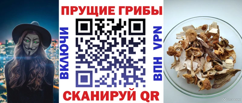 Галлюциногенные грибы ЛСД дарк нет Telegram Кирс
