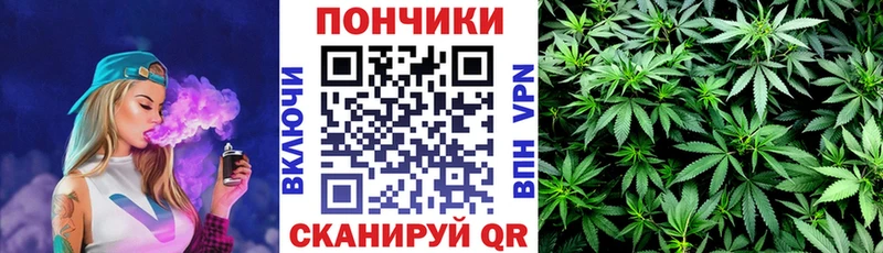 Марихуана гибрид Кирс